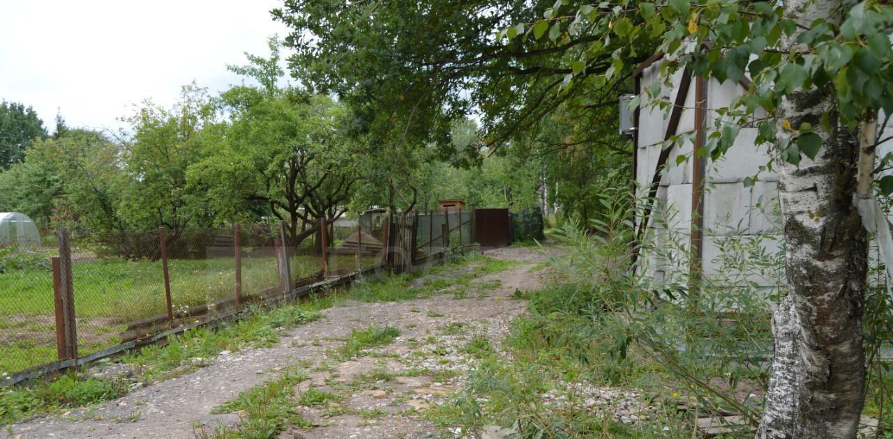 земля г Великий Новгород 17-й кв-л фото 20