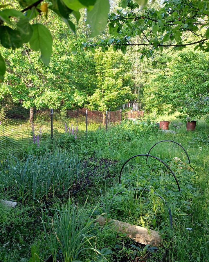дом городской округ Богородский г Ногинск снт тер.Шерна 51 км, 96, д. Следово, Щёлковское шоссе фото 9