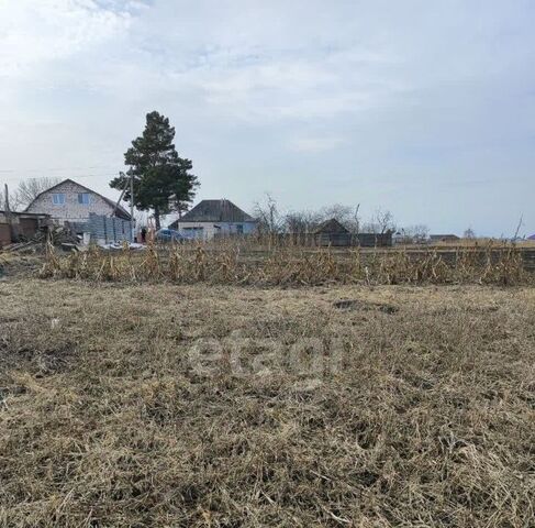 с Колтуновка пер 2-й Луговой фото