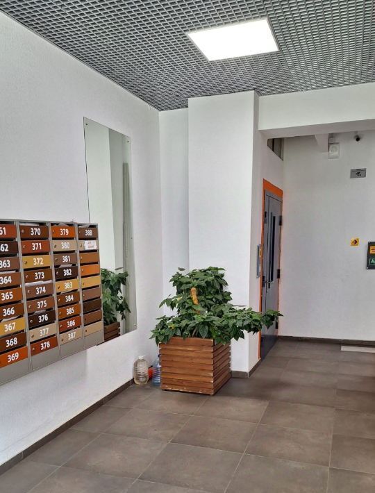 квартира г Санкт-Петербург п Парголово ул Шишкина 303к/1 метро Парнас фото 15