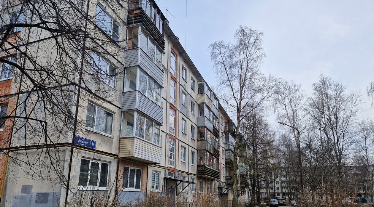 квартира г Петрозаводск ул Лисицыной 17 фото 11