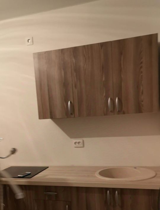 квартира г Екатеринбург Геологическая ул Хрустальногорская 88/2 фото 2