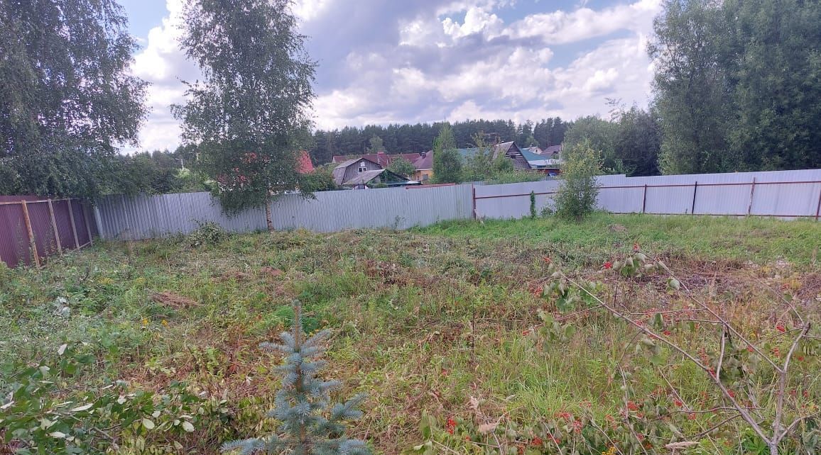 земля городской округ Богородский г Ногинск ул 1-ая Прудовая 24 фото 4