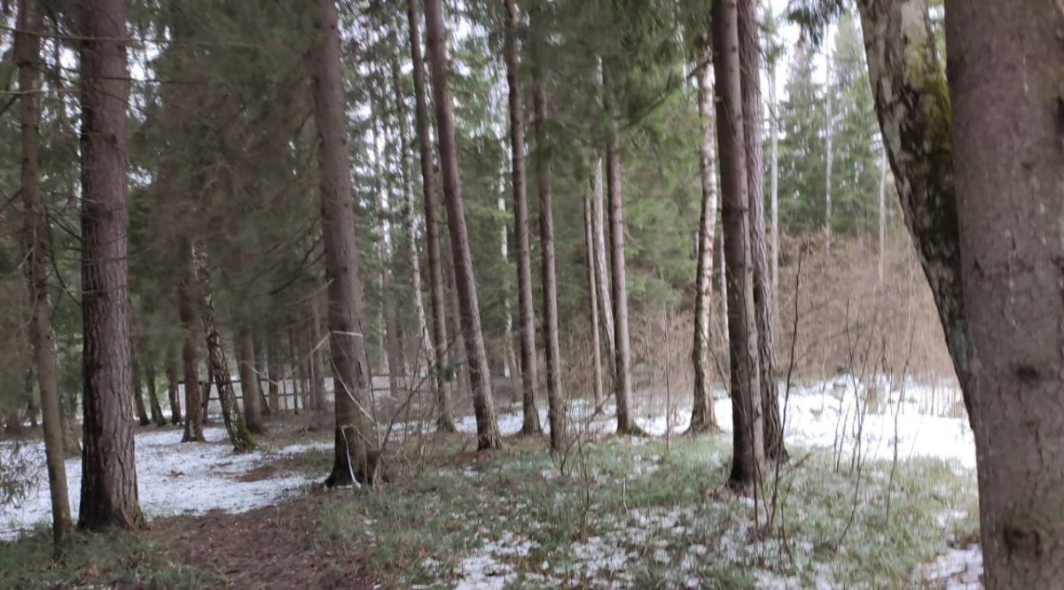 земля г Красногорск Вымпел кп, Нахабино фото 6