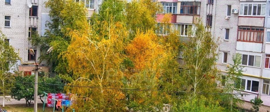 квартира г Белгород Западный ул Щорса 38 фото 10