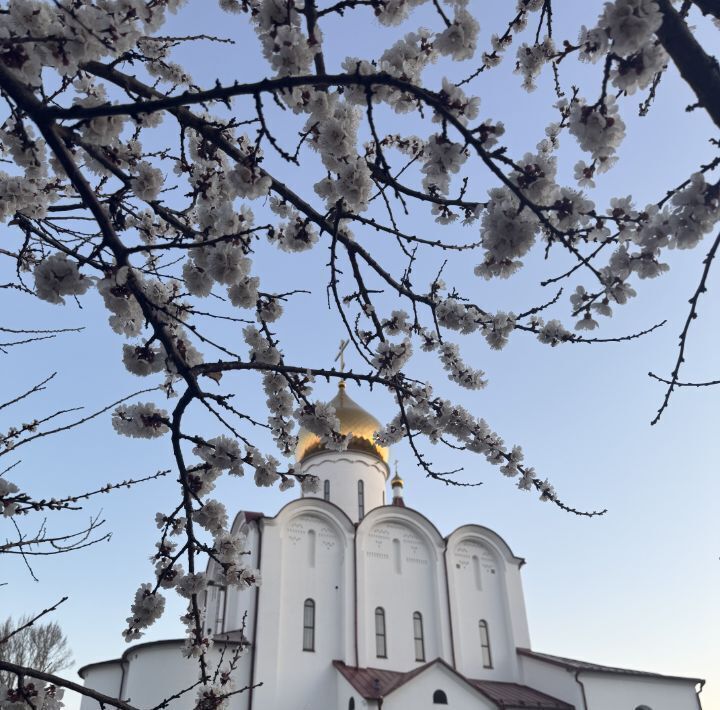 квартира г Саратов р-н Заводской ул Огородная 75б фото 6