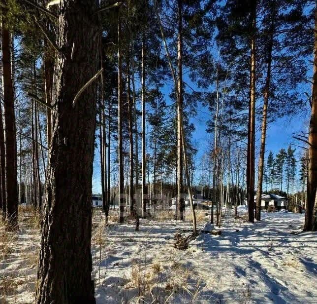 земля г Полевской с Курганово ул Еловая фото 3