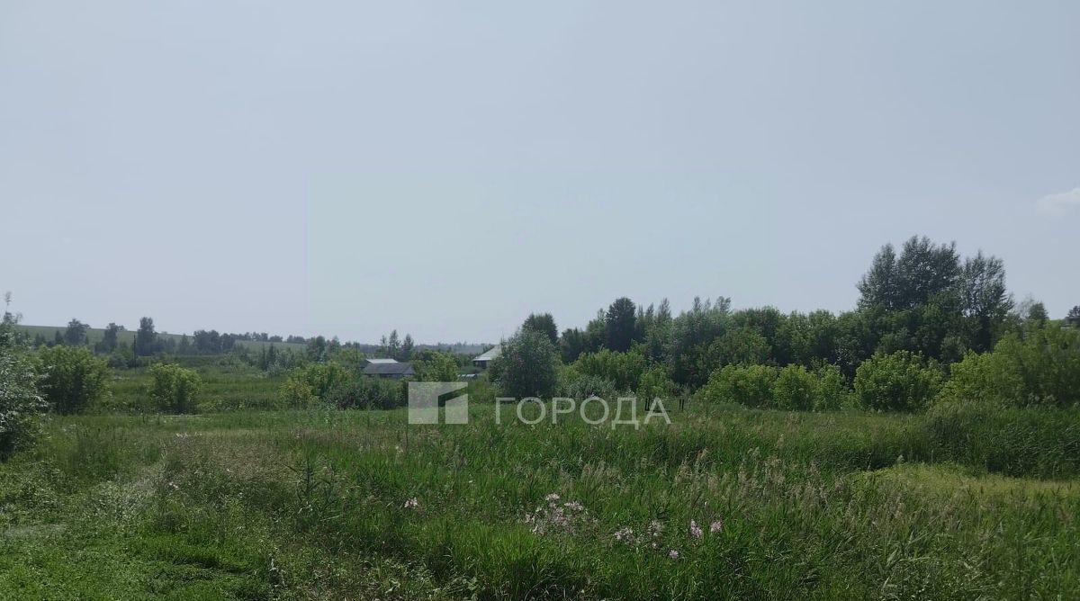 земля г Барнаул п Казенная Заимка снт Озерное ул Цветочная садоводческое товарищество фото 11