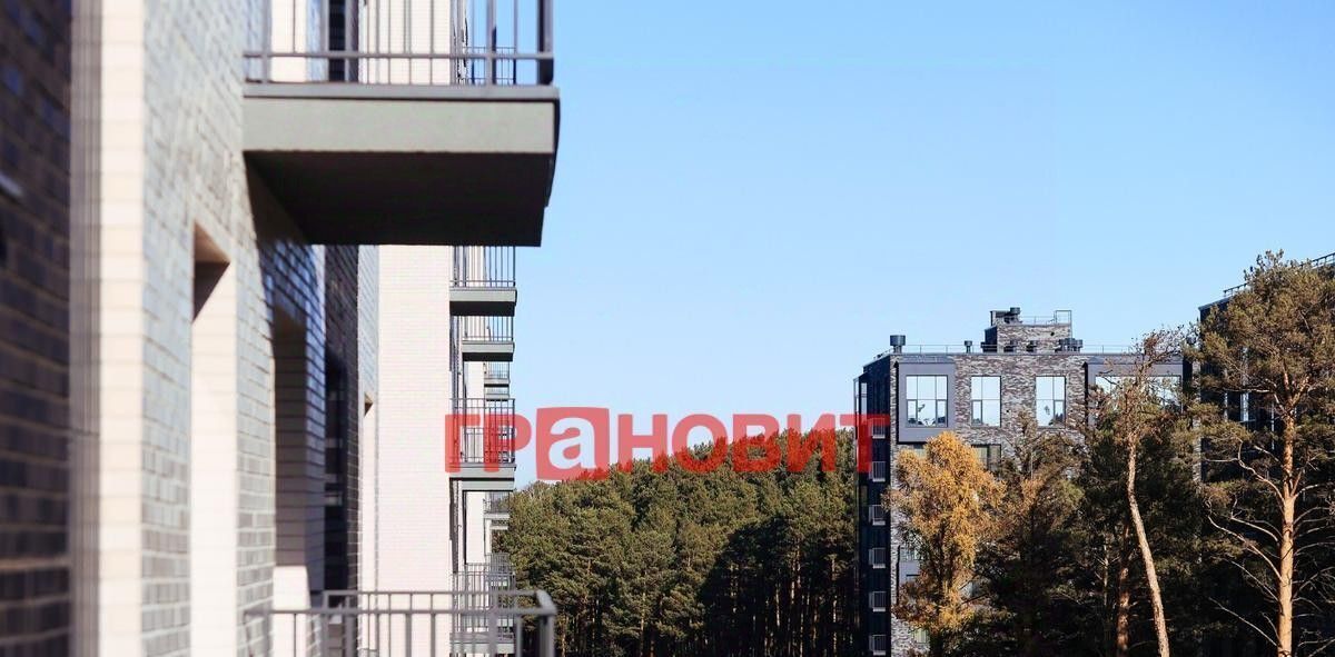 квартира г Новосибирск Заельцовская ш Дачное 22/3 фото 3