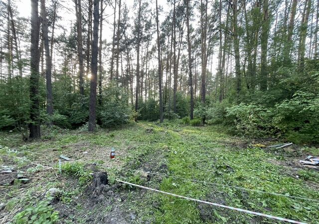 Кемеровская обл. — Кузбасс, Осинники фото