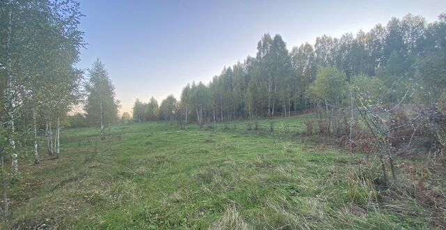 п Нейво-Рудянка ул Некрасова Кировградский муниципальный округ, Новоуральск фото
