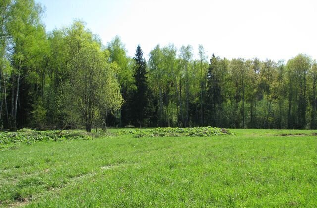 34 км, 85, Домодедово, Новокаширское шоссе фото