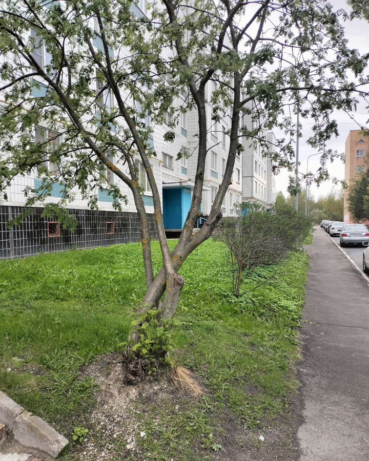квартира г Электрогорск ул Кржижановского 32 Павлово-Посадский г. о. фото 3
