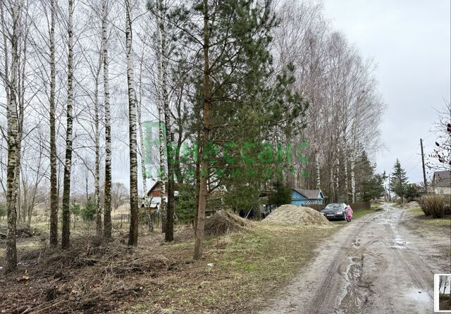 земля пер Речной 1-й 4 Кокинское сельское поселение, Кокино фото