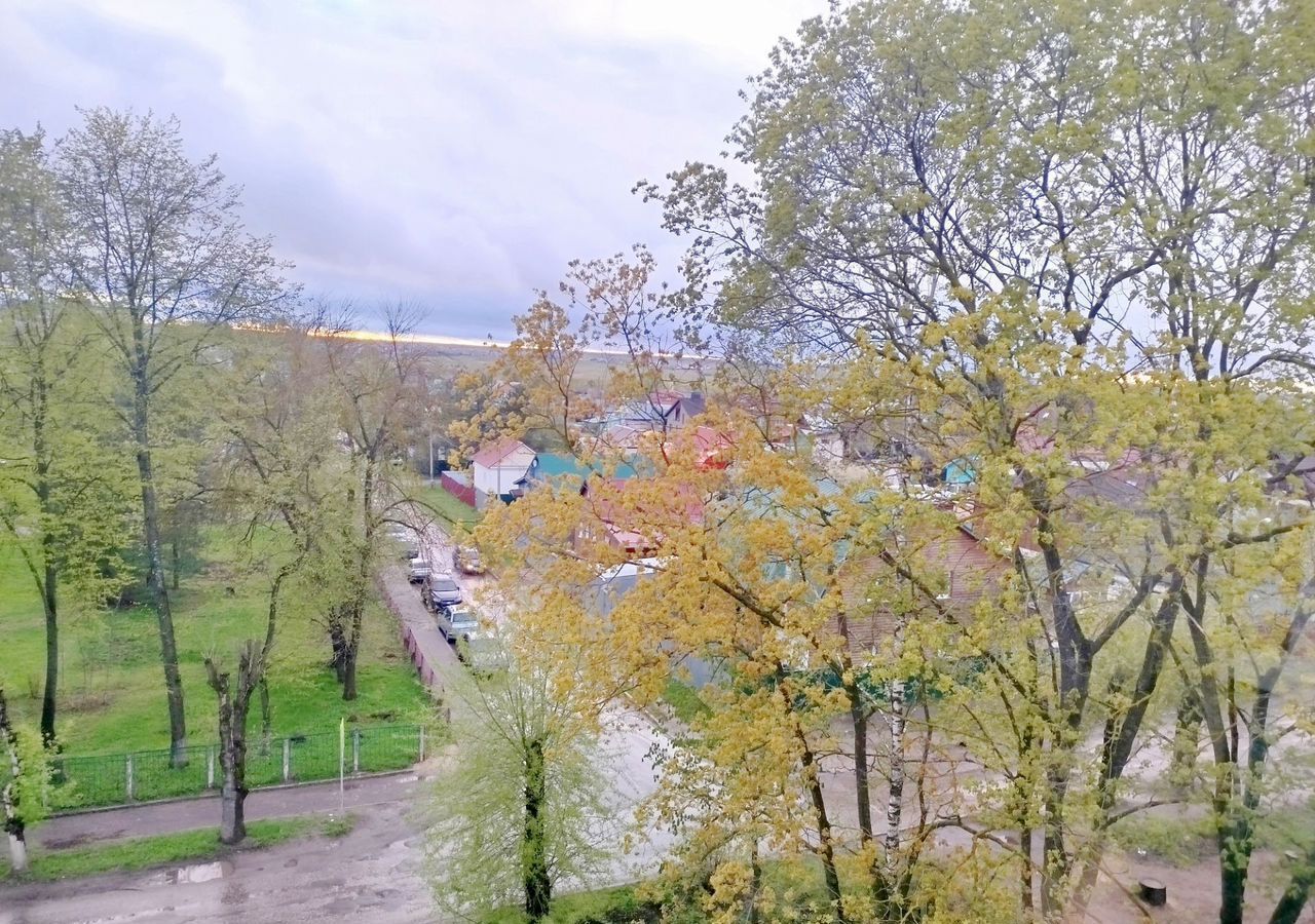 квартира г Владимир р-н Октябрьский пр-кт Строителей 24б фото 12