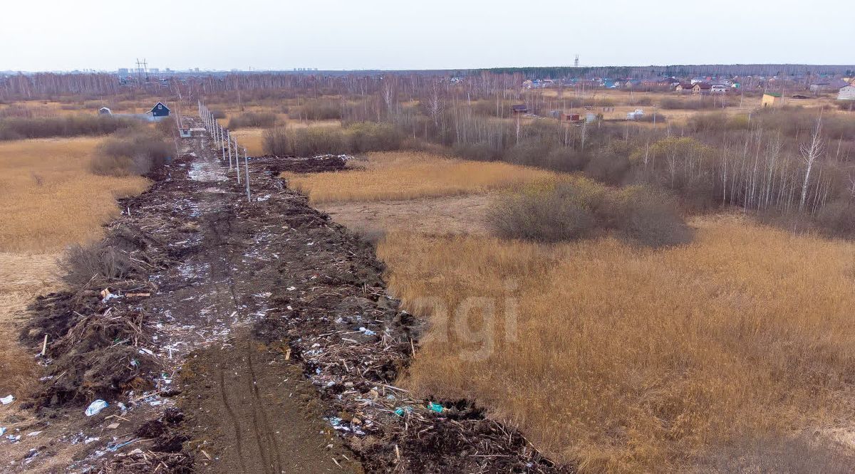 земля г Тюмень р-н Центральный снт Поле чудес ул Зеленая фото 14