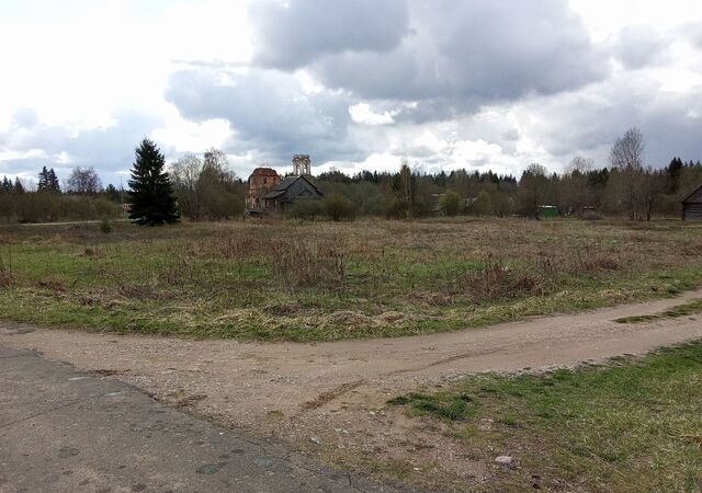 Боровичи, Кончанско-Суворовское сельское поселение фото