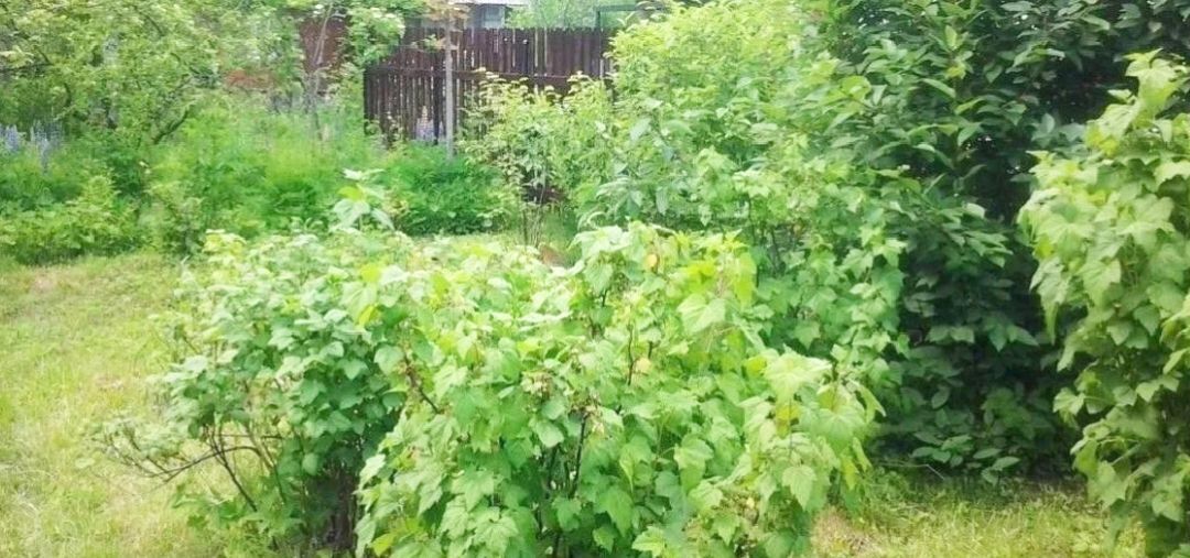 дом г Барнаул р-н Индустриальный снт Им Мичурина фото 6