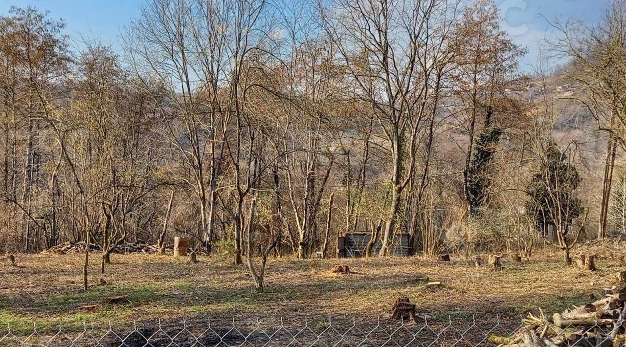 земля г Сочи с Вардане-Верино садоводческое товарищество, 24, Энергетик фото 9
