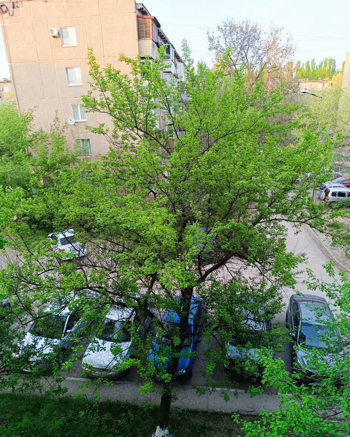 квартира г Волжский пр-кт Дружбы 10 фото 16