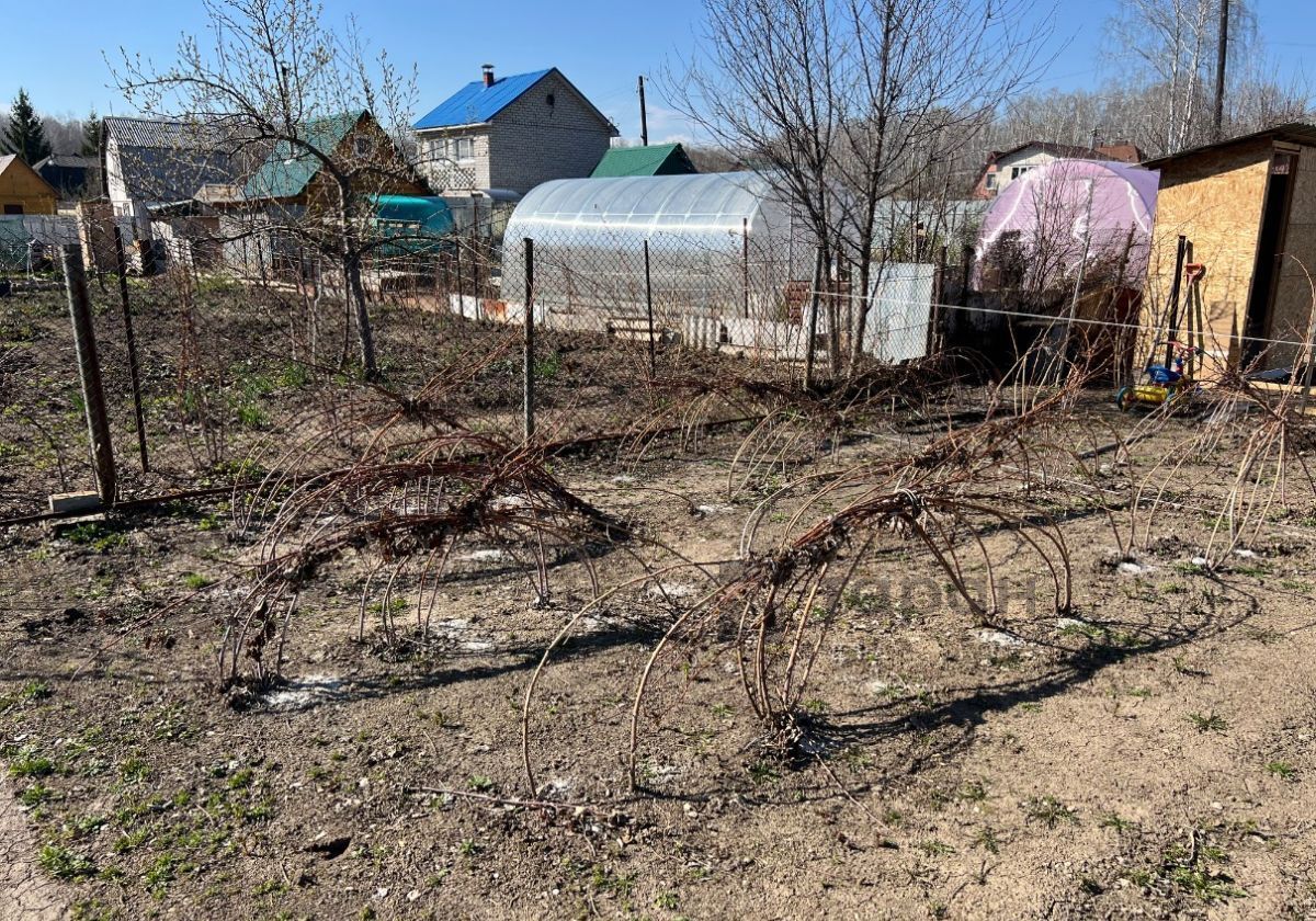 земля г Челябинск 31-й квартал Сосновский округ, Кременкульское сельское поселение, СНТ Урал фото 12