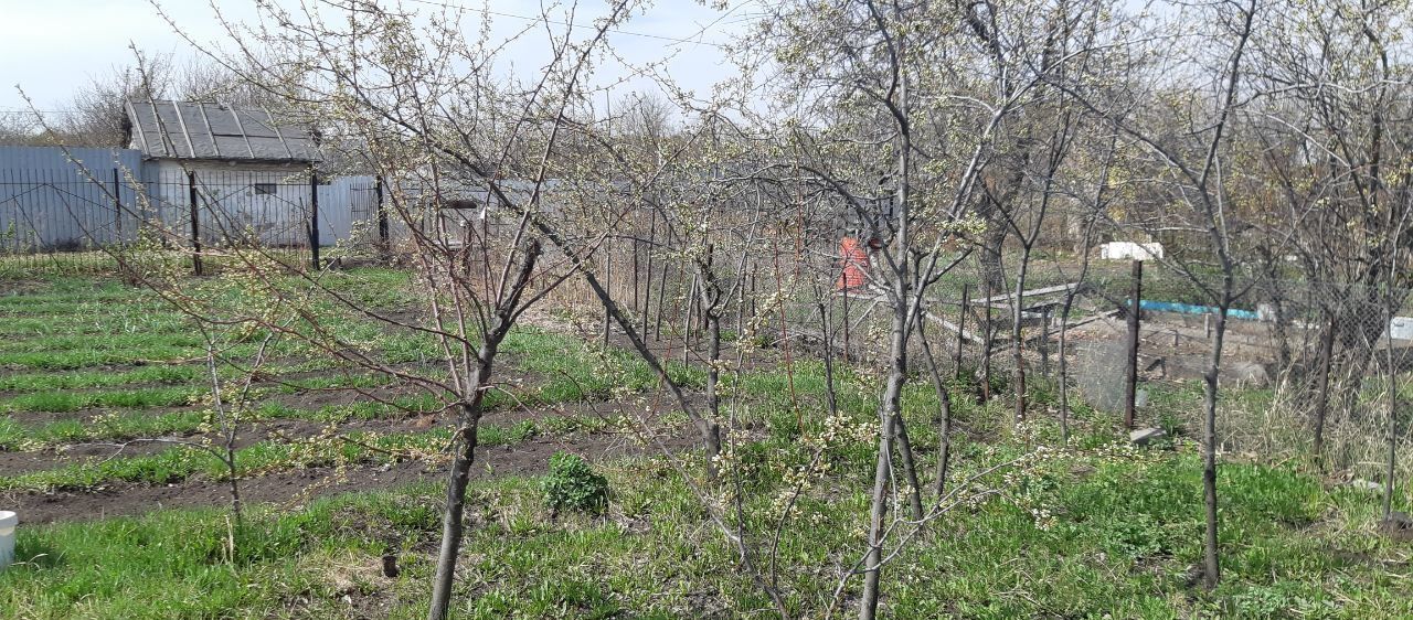 земля г Челябинск р-н Тракторозаводский Тракторосад 1-2 сад 2 фото 1