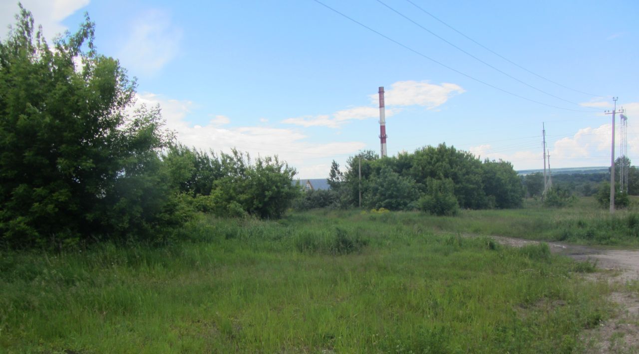 земля г Ульяновск с Белый Ключ ул Гагарина фото 3