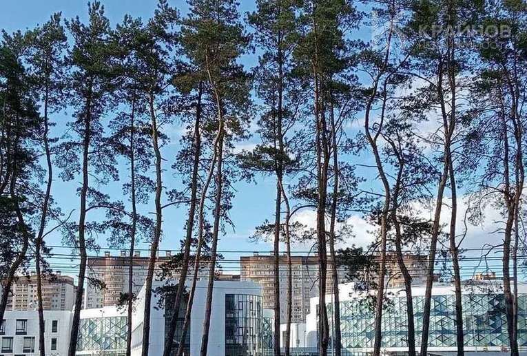 квартира г Воронеж р-н Центральный ул Ломоносова 115 фото 25