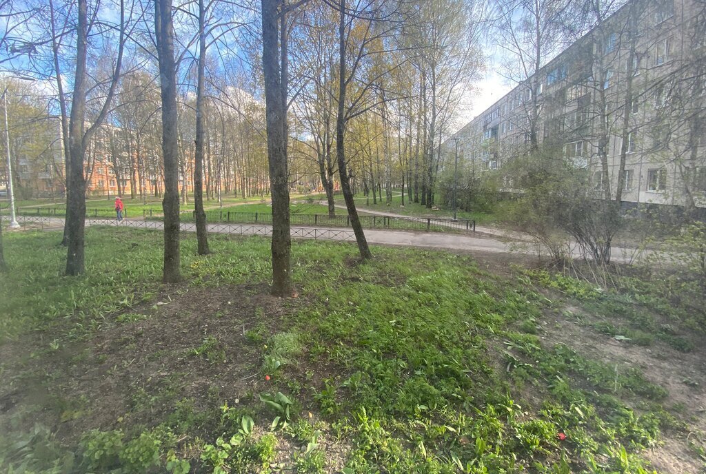 квартира г Колпино ул Пролетарская 117 Шушары фото 7