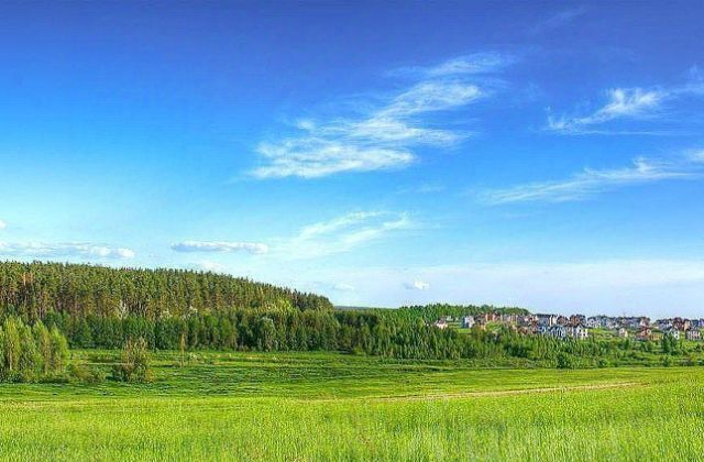 снт Светлогорское Донское, Зеленоградский муниципальный округ фото