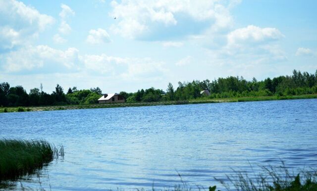 муниципальное образование Пекшинское, Костерево фото