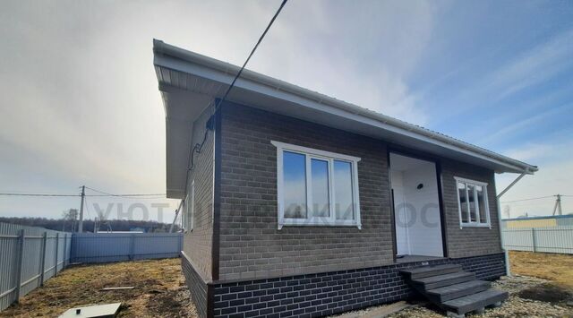 городской округ Раменский д Прудки Домодедовская фото