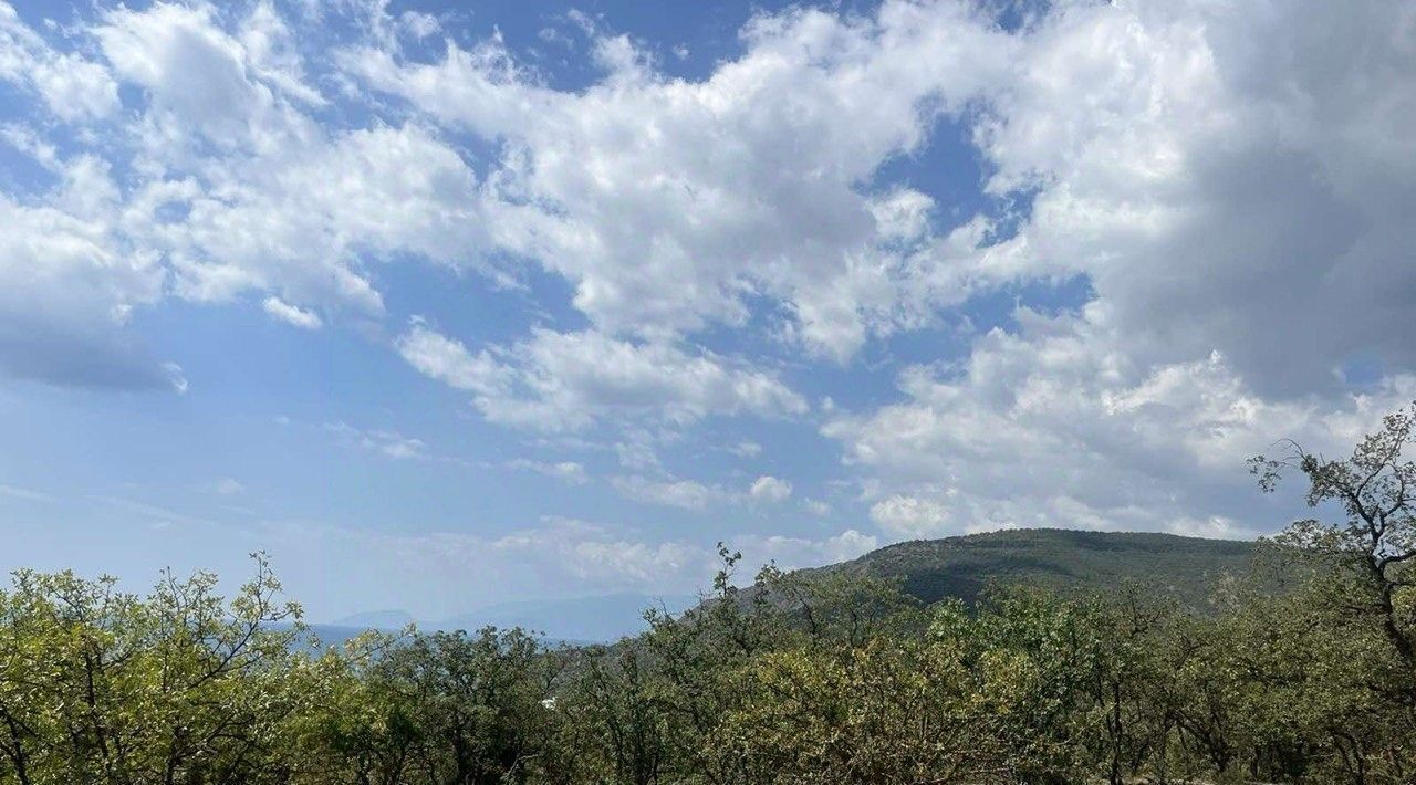 земля г Алушта с Приветное р-н курорт Канака фото 2
