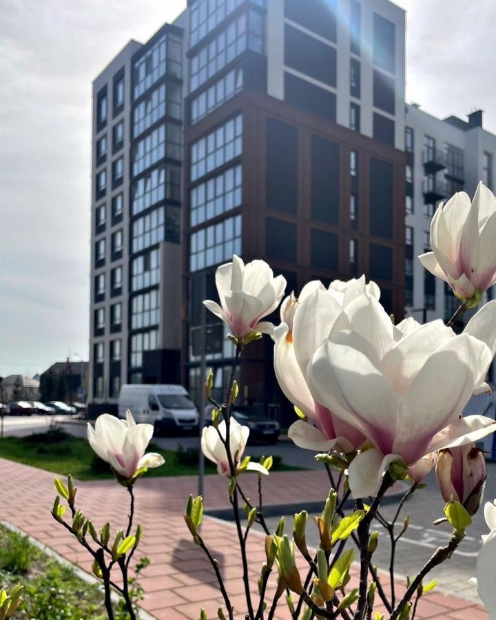 квартира г Калининград р-н Ленинградский ул Арсенальная 31 корп. 3 фото 4