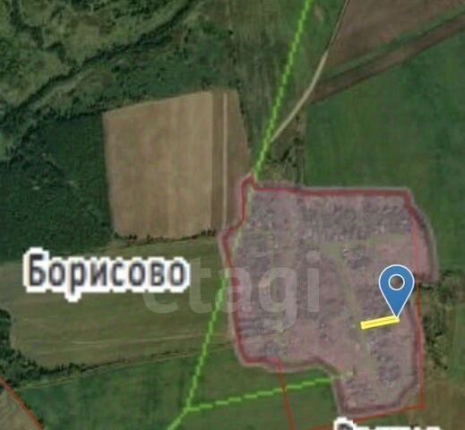 Любимцевский сельский округ, Переславль-Залесский муниципальный округ, д. Борисово фото