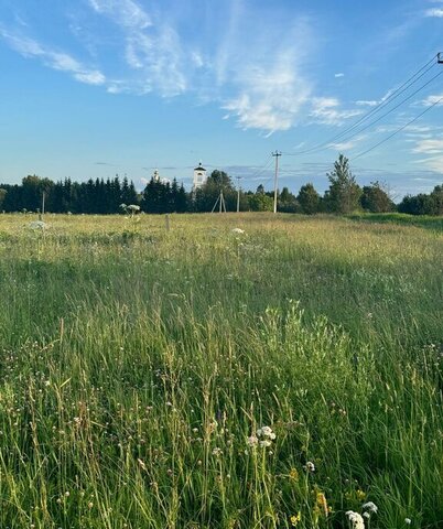 ул Еремеевская муниципальный округ Истра фото