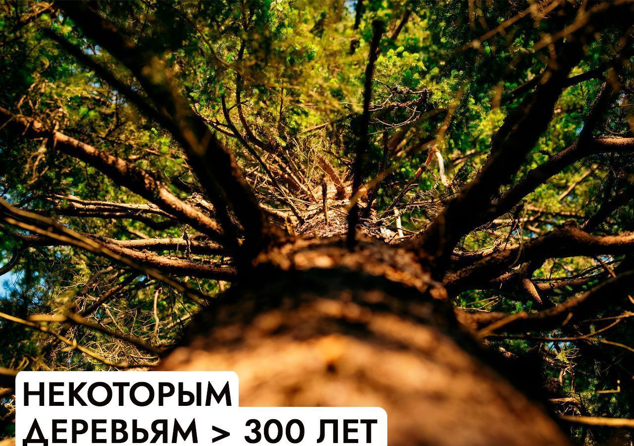 земля г Истра Павловская Слобода, 25 км, коттеджный пос. Гринфилд, Минское шоссе фото 9