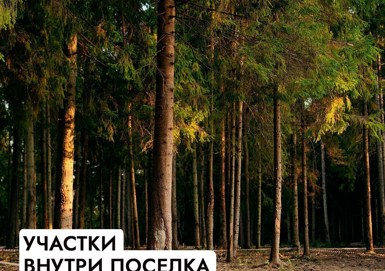 земля г Истра Павловская Слобода, 25 км, коттеджный пос. Гринфилд, Минское шоссе фото 27