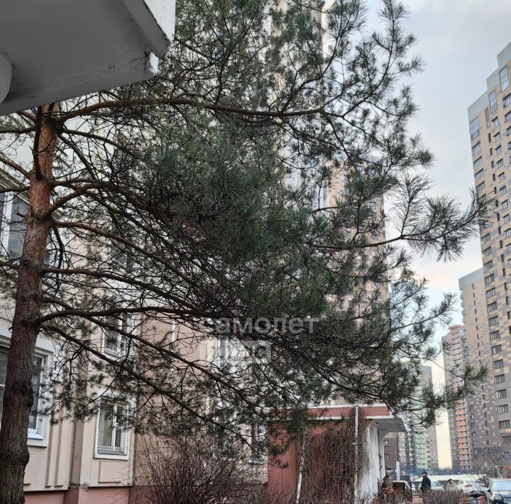 квартира г Одинцово ул. Чистяковой, 18, Сколково фото 19