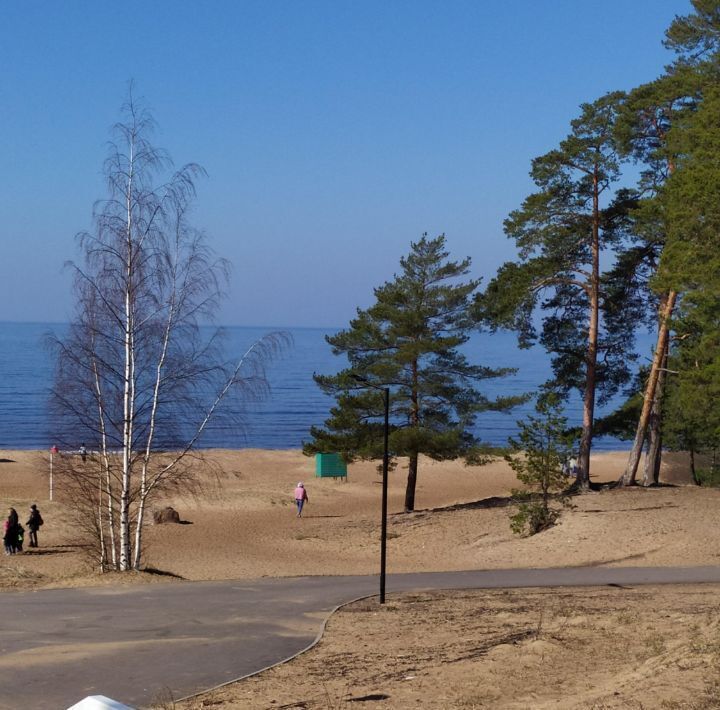 квартира г Сосновый Бор ул Красных Фортов 16 фото 21