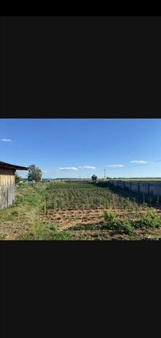 п Приволжский ул Пионерская Республика Татарстан Татарстан, Приволжское сельское поселение, Болгар фото