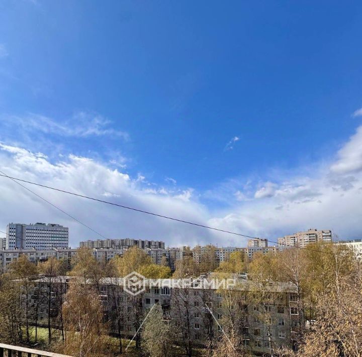 квартира г Санкт-Петербург метро Ладожская пр-кт Маршала Блюхера 55 фото 7