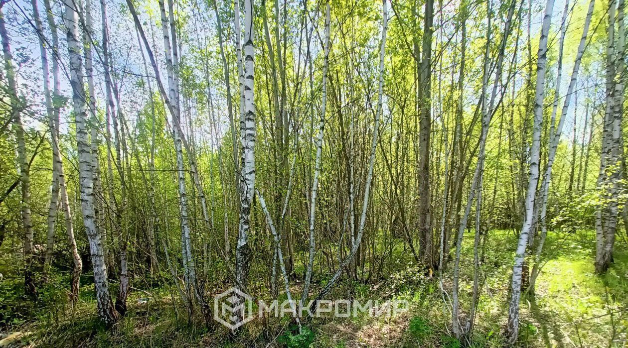 дом г Орел р-н Северный снт Коммунальник-4 6 фото 4