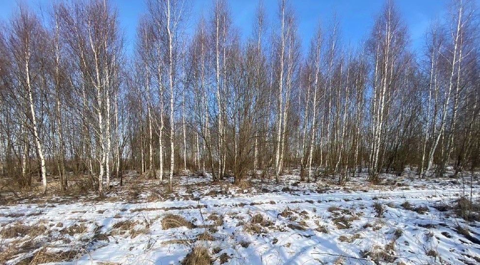 земля г Зарайск ул Малая фото 1