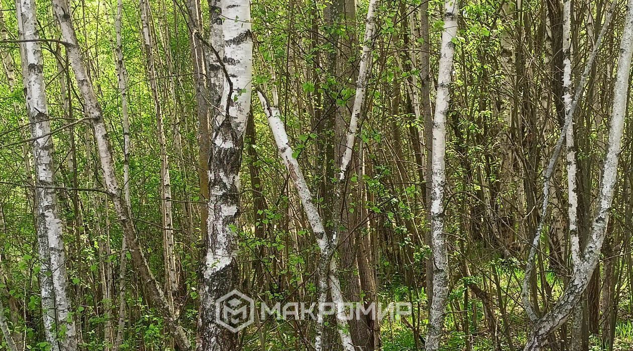 дом г Орел р-н Северный снт Коммунальник-4 6 фото 8