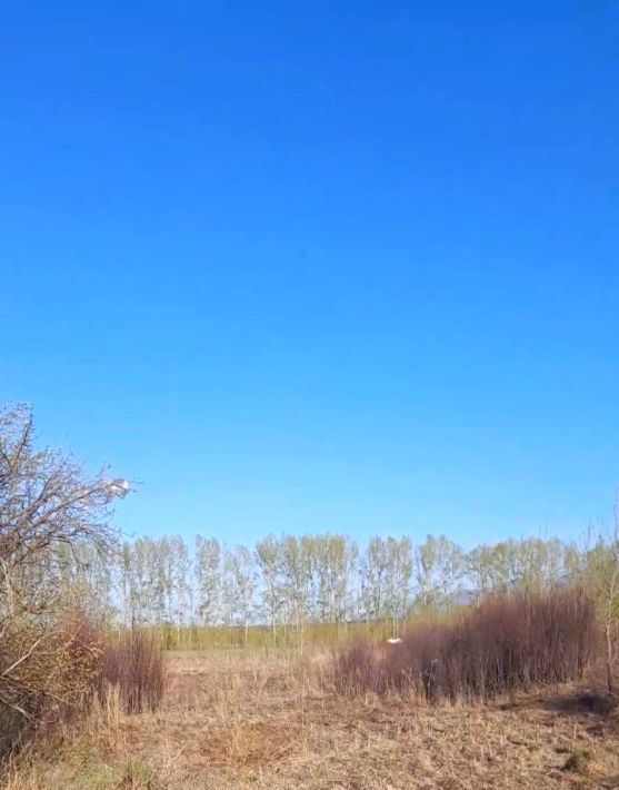 земля г Белокуриха фото 1