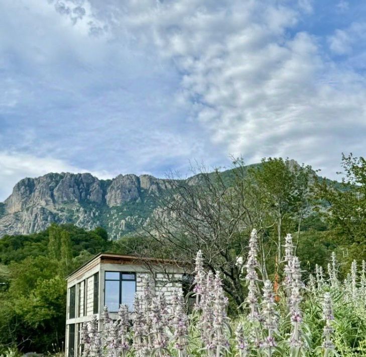 дом г Алушта с Лучистое пер Персиковый фото 15