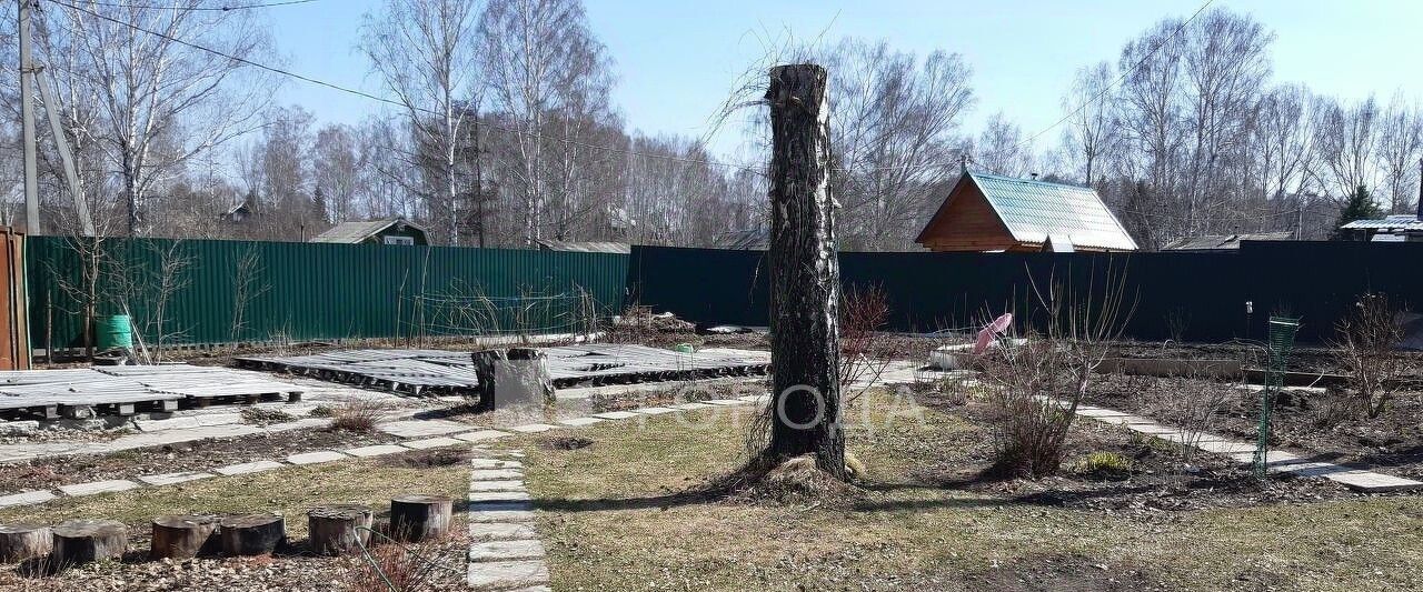 земля г Новосибирск р-н Первомайский снт Спутник фото 3