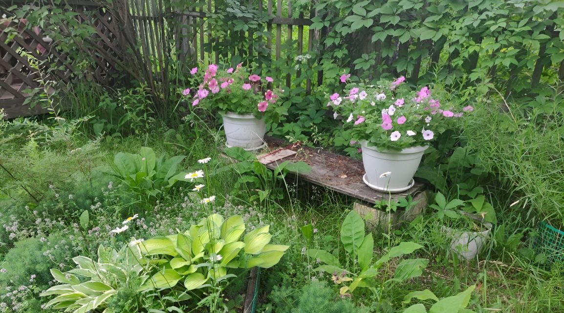дом г Новосибирск р-н Советский Академгородок ул Академическая фото 14