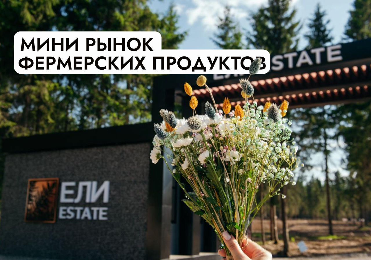 земля г Клин 54 км, эко-посёлок Ели эстейт, Новопетровское, Ленинградское шоссе фото 40
